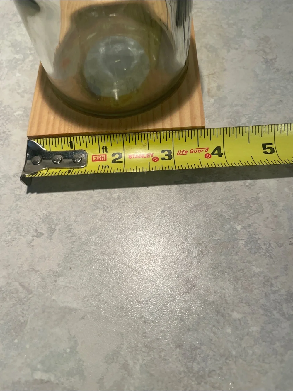 Rae Dunn Clear Glass Canister Pair with Natural Wood Lids